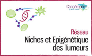 Projets en cours