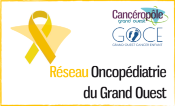 Projets en cours