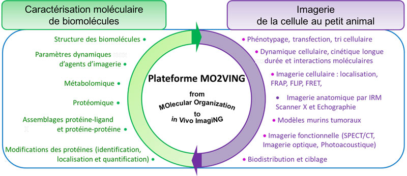 mo2ving-services_web