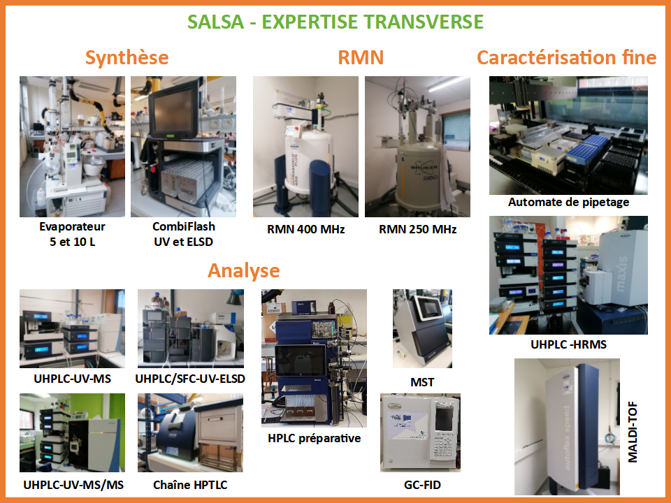 equipement salsa
