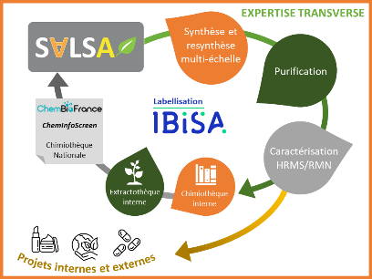 labell ibisa salsa
