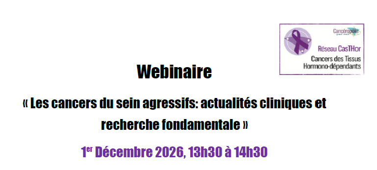 webinaire casthor dec 26
