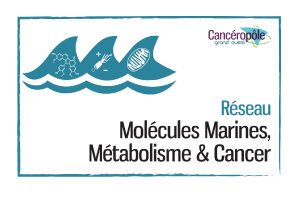3mc-Mol-Marines-MD_carreweb